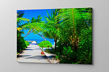 Obraz Letná dovolenka pri mori 1949